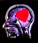 heartbrain heartbrain